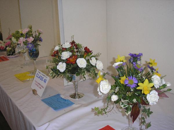 TRAIDCRAFT&SPRINGSHOW06 007