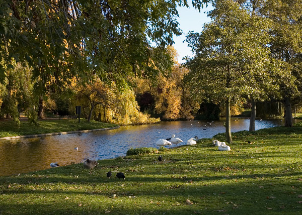 Regents Park 01