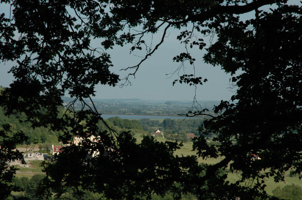 DSC_0060