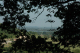 DSC_0060