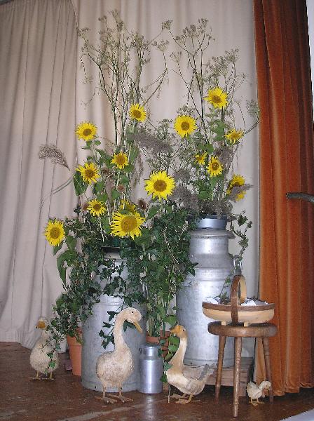 HARVEST2006 001