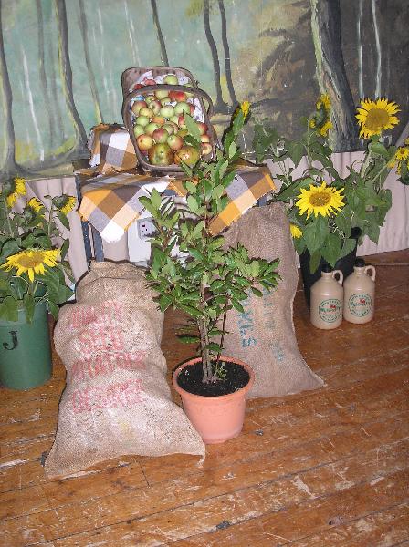 HARVEST2006 002